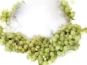 Nippon Gases:  Aplicaciones para la vendimia